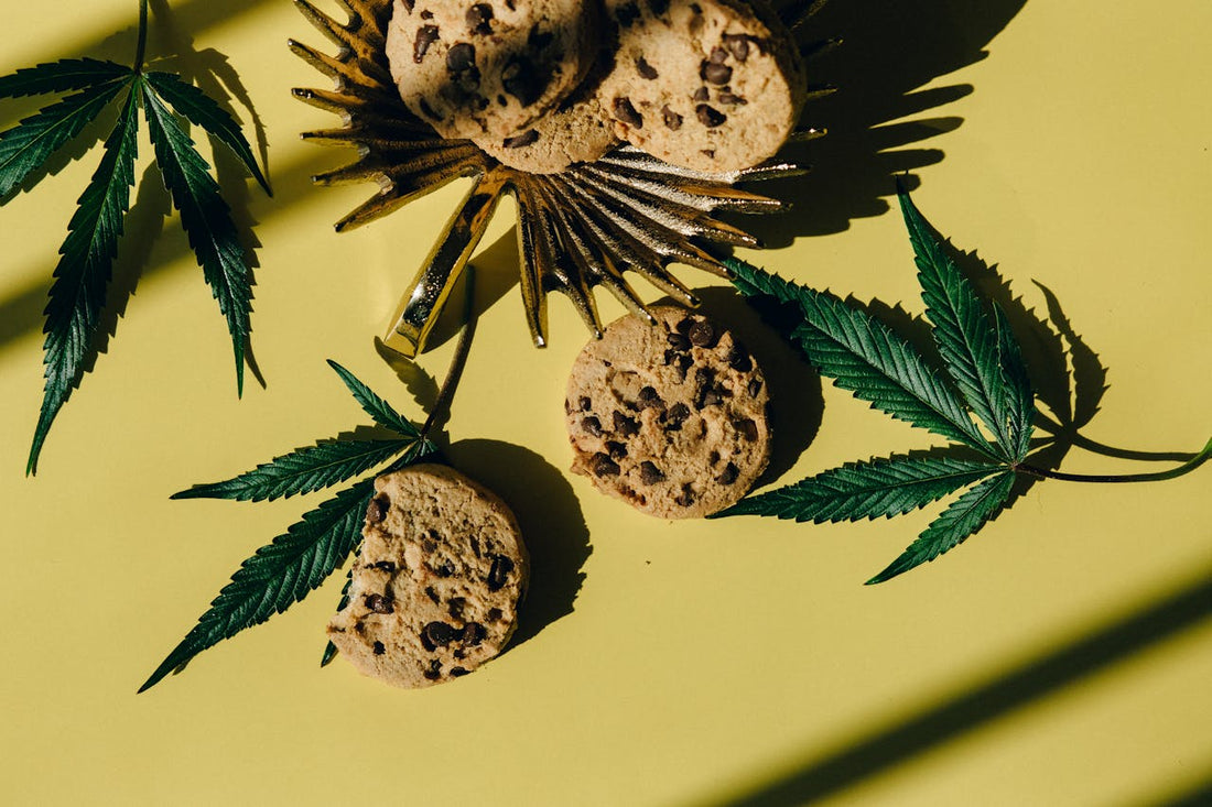 Cannabis-Kekse mit Schokostückchen auf gelbem Hintergrund, dekoriert mit Cannabisblättern – Symbolbild für Edibles und deren Dosierung