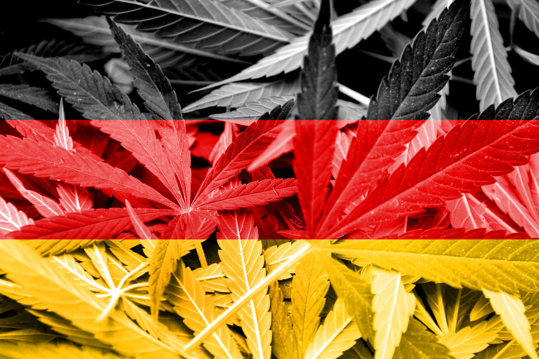 Cannabisblätter mit Deutschlandflagge - Symbolbild für Legalisierung