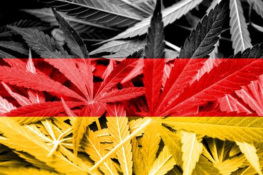 Cannabisblätter mit Deutschlandflagge - Symbolbild für Legalisierung