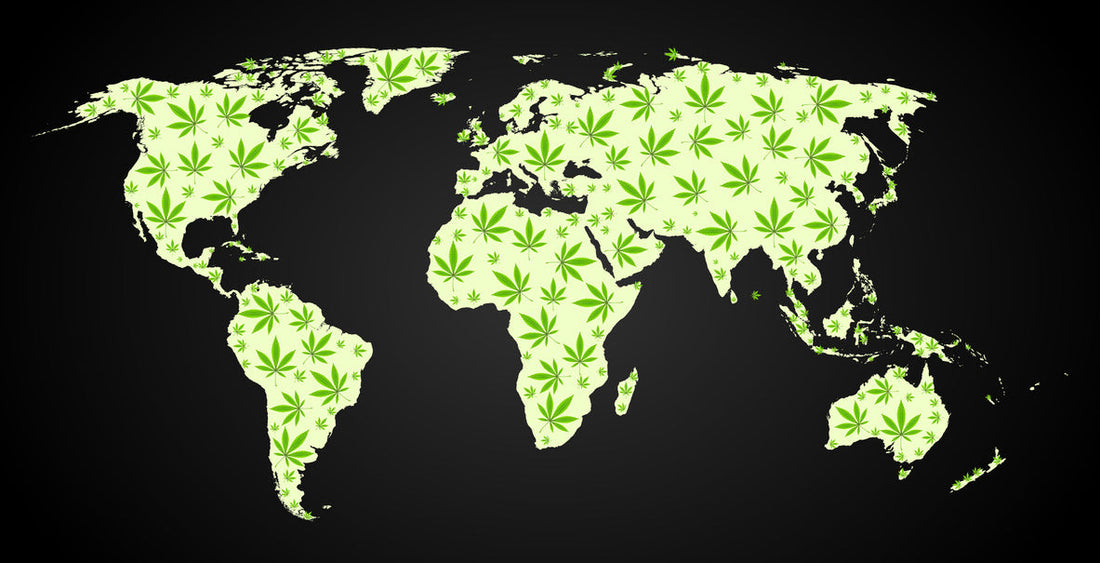 Weltkarte mit Cannabisblättern – Cannabis-Kultur und Legalisierung weltweit