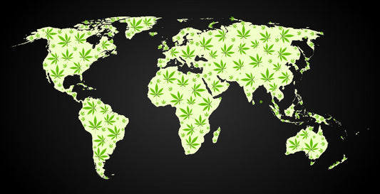 Weltkarte mit Cannabisblättern – Cannabis-Kultur und Legalisierung weltweit