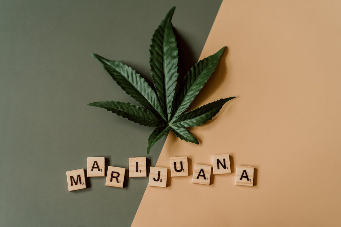 Grünes Cannabisblatt auf zweifarbigem Hintergrund mit dem Wort "Marijuana" aus Holzbuchstaben