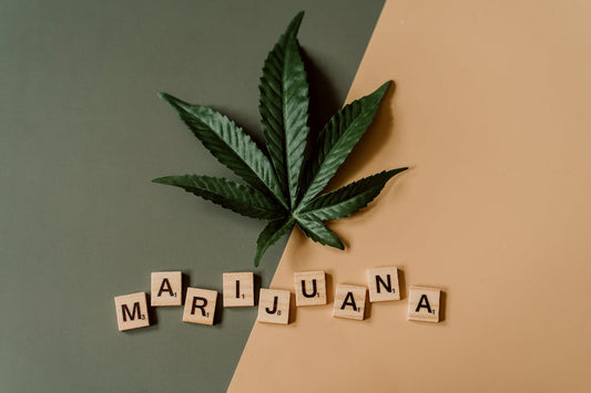 Grünes Cannabisblatt auf zweifarbigem Hintergrund mit dem Wort "Marijuana" aus Holzbuchstaben