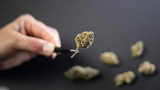 Mikrodosierung von Cannabis mit einer Pinzette