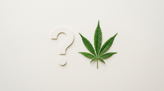 Cannabisblatt neben einem Fragezeichen auf hellem Untergrund – Symbolbild für Cannabis-Mythen im Faktencheck