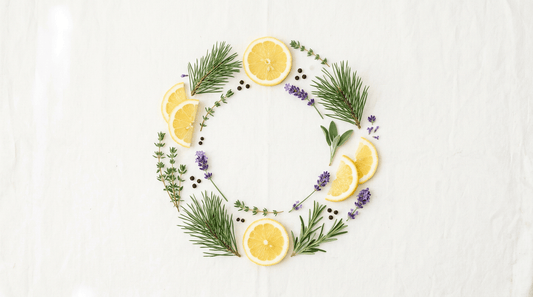 Zitrone, Pinienzweig, Lavendel und Pfeffer auf hellem Untergrund – Symbolbild für Terpene und ihre Aromen