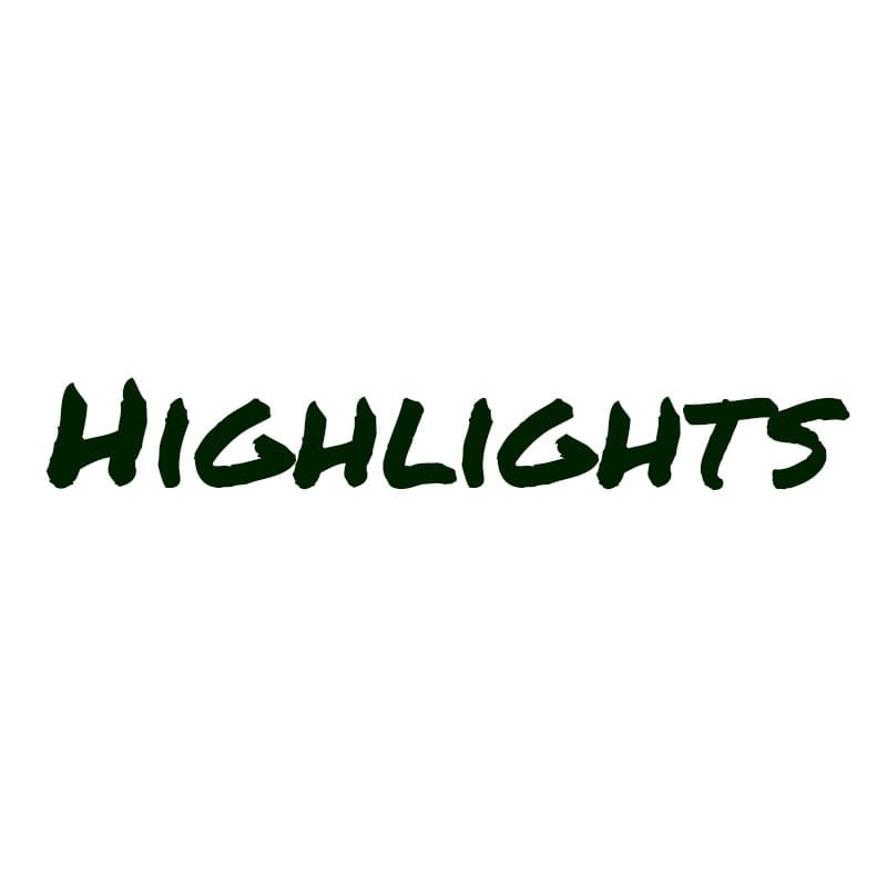 Kategoriename 'Highlights' in stilvoller Schriftart auf einfachem Hintergrund.